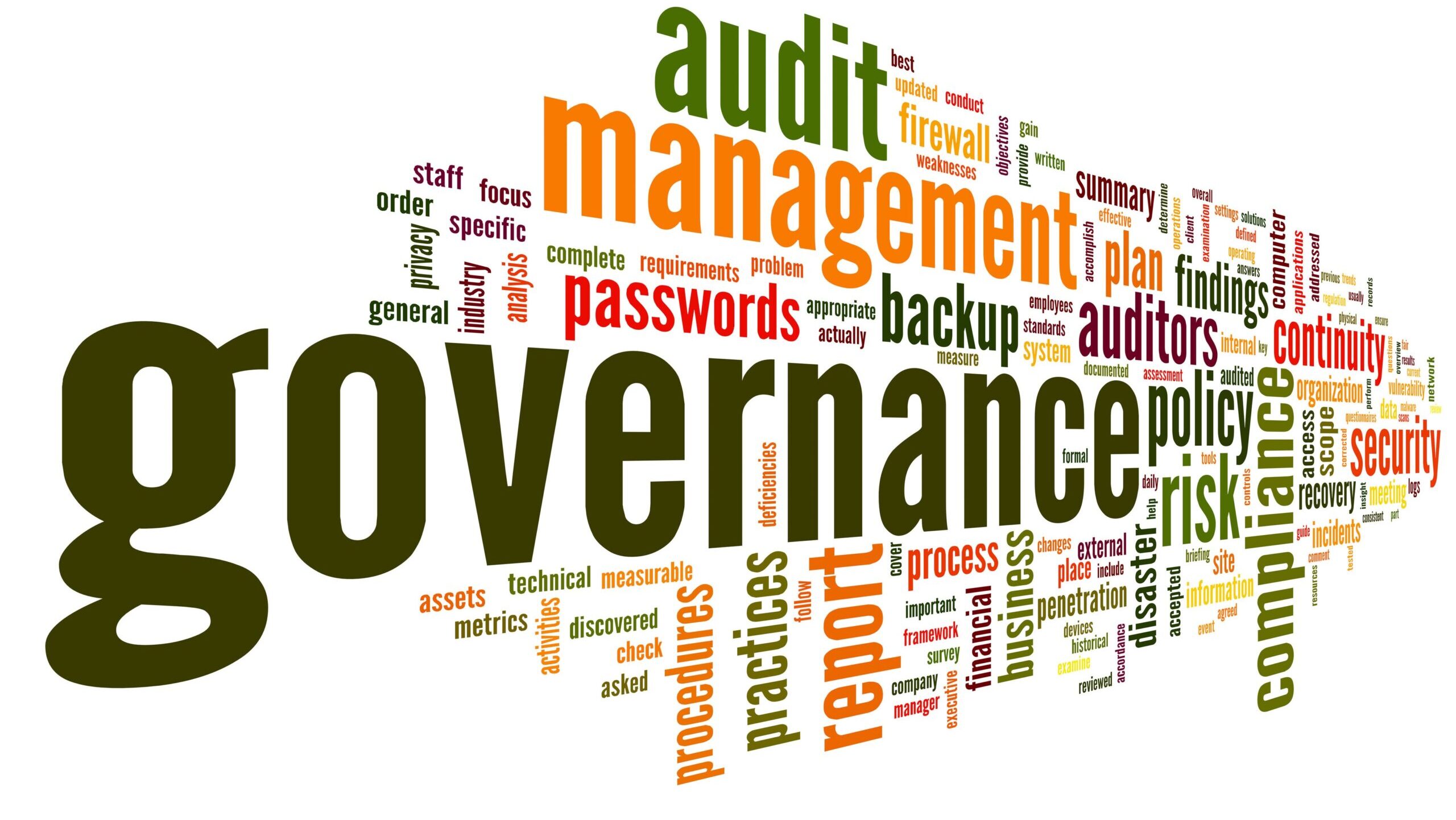Project Management and Project Governance
