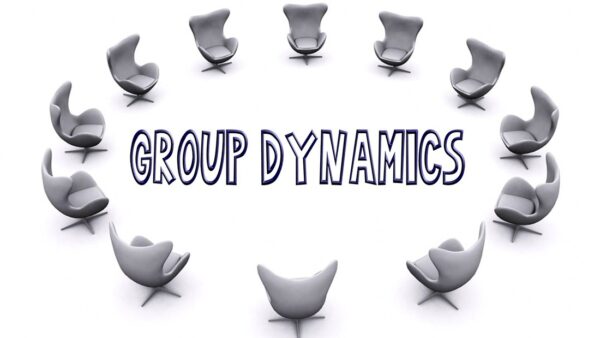 Project Management - Group Dynamics and Leadership Oversight