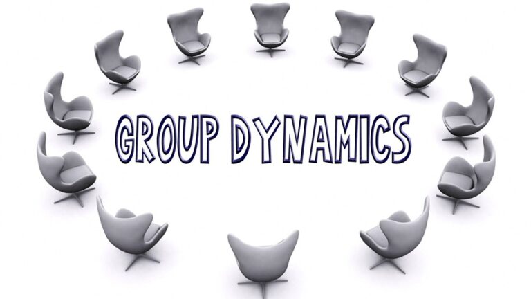 Project Management – Group Dynamics and Leadership Oversight